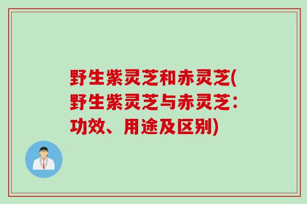 野生紫灵芝和赤灵芝(野生紫灵芝与赤灵芝：功效、用途及区别)