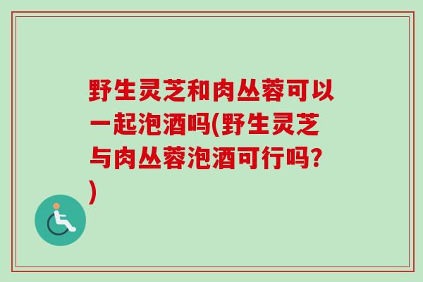 野生灵芝和肉丛蓉可以一起泡酒吗(野生灵芝与肉丛蓉泡酒可行吗？)