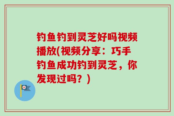 钓鱼钓到灵芝好吗视频播放(视频分享：巧手钓鱼成功钓到灵芝，你发现过吗？)