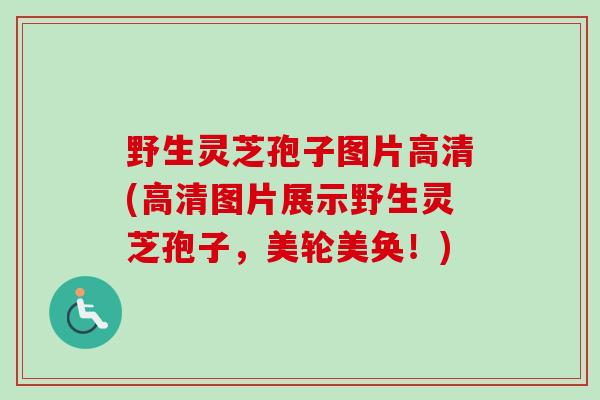 野生灵芝孢子图片高清(高清图片展示野生灵芝孢子，美轮美奂！)