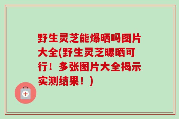 野生灵芝能爆晒吗图片大全(野生灵芝曝晒可行！多张图片大全揭示实测结果！)