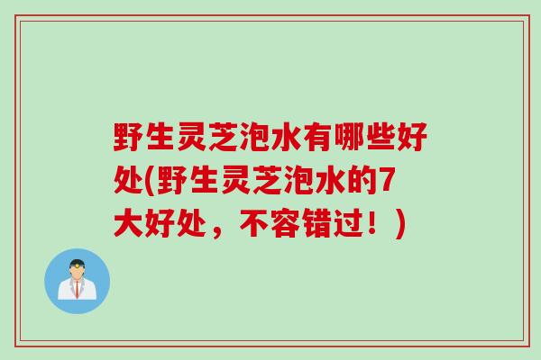 野生灵芝泡水有哪些好处(野生灵芝泡水的7大好处，不容错过！)