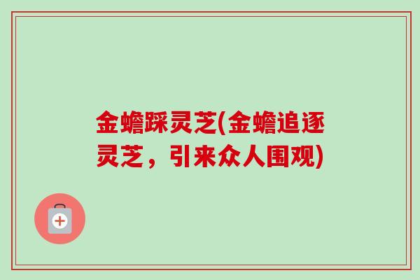 金蟾踩灵芝(金蟾追逐灵芝，引来众人围观)