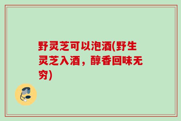 野灵芝可以泡酒(野生灵芝入酒，醇香回味无穷)
