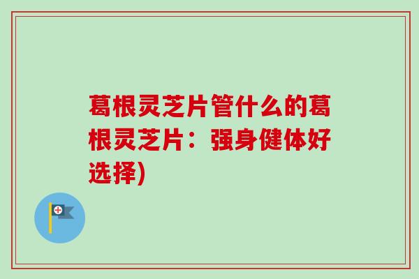 葛根灵芝片管什么的葛根灵芝片：强身健体好选择)
