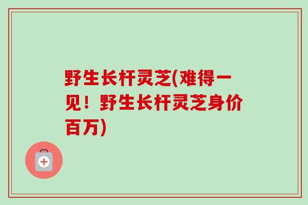 野生长杆灵芝(难得一见！野生长杆灵芝身价百万)