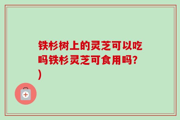 铁杉树上的灵芝可以吃吗铁杉灵芝可食用吗?) 铁杉树上的灵芝可以吃吗铁杉灵芝可食用吗?)