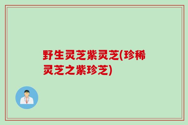 野生灵芝紫灵芝(珍稀灵芝之紫珍芝)