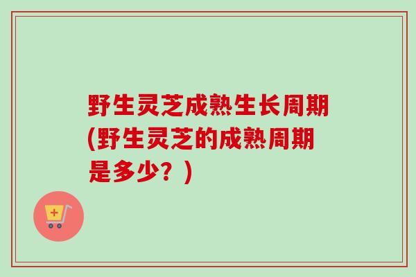 野生灵芝成熟生长周期(野生灵芝的成熟周期是多少?) 野生灵芝成熟生长周期(野生灵芝的成熟周期是多少?)