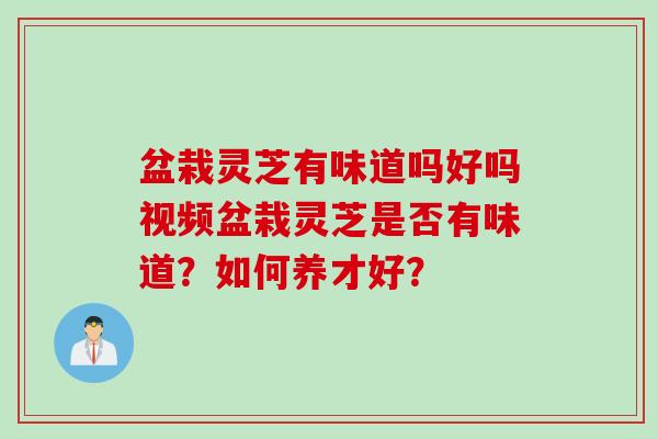 盆栽灵芝有味道吗好吗视频盆栽灵芝是否有味道？如何养才好？