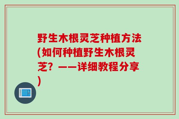 野生木根灵芝种植方法(如何种植野生木根灵芝？——详细教程分享)