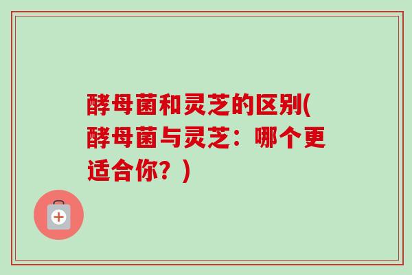 酵母菌和灵芝的区别(酵母菌与灵芝：哪个更适合你？)