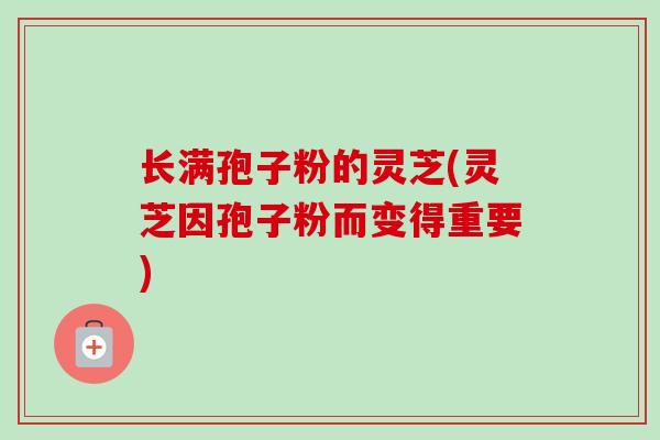 长满孢子粉的灵芝(灵芝因孢子粉而变得重要) 长满孢子粉的灵芝(灵芝因孢子粉而变得重要)