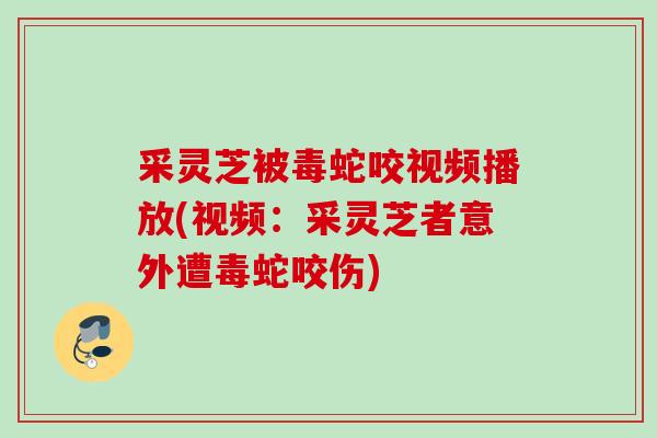 采灵芝被毒蛇咬视频播放(视频:采灵芝者意外遭毒蛇咬伤) 采灵芝被毒蛇咬视频播放(视频:采灵芝者意外遭毒蛇咬伤)