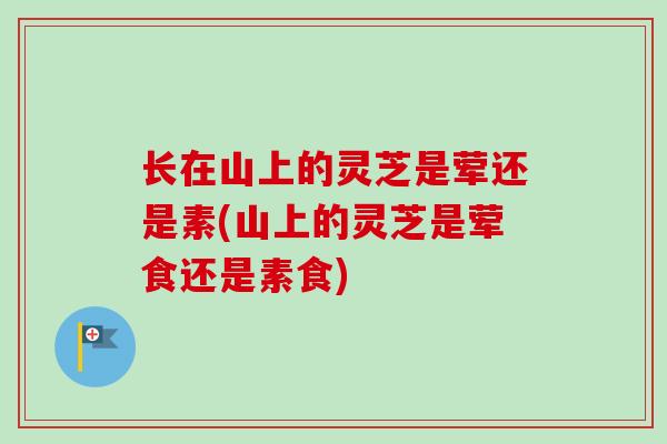 长在山上的灵芝是荤还是素(山上的灵芝是荤食还是素食) 长在山上的灵芝是荤还是素(山上的灵芝是荤食还是素食)