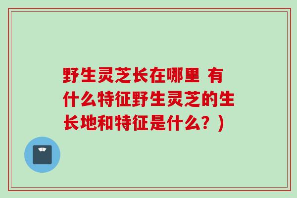 野生灵芝长在哪里 有什么特征野生灵芝的生长地和特征是什么？)