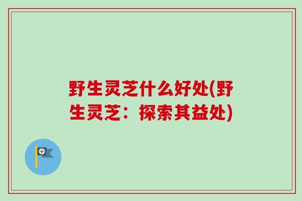 野生灵芝什么好处(野生灵芝：探索其益处)
