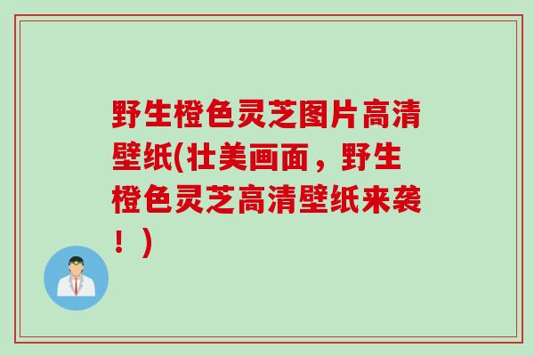野生橙色灵芝图片高清壁纸(壮美画面，野生橙色灵芝高清壁纸来袭！)
