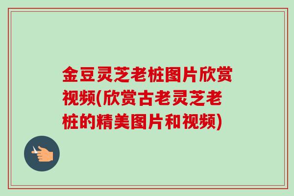 金豆灵芝老桩图片欣赏视频(欣赏古老灵芝老桩的精美图片和视频)