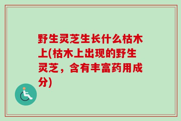 野生灵芝生长什么枯木上(枯木上出现的野生灵芝，含有丰富药用成分)