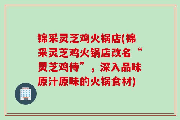 锦采灵芝鸡火锅店(锦采灵芝鸡火锅店改名“灵芝鸡侍”，深入品味原汁原味的火锅食材)