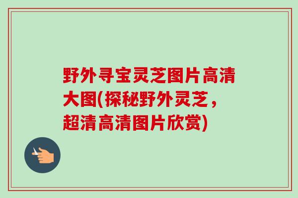 野外寻宝灵芝图片高清大图(探秘野外灵芝，超清高清图片欣赏)