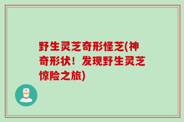 野生灵芝奇形怪芝(神奇形状!发现野生灵芝惊险之旅) 野生灵芝奇形怪芝(神奇形状!发现野生灵芝惊险之旅)