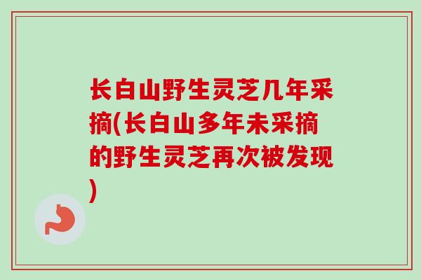长白山野生灵芝几年采摘(长白山多年未采摘的野生灵芝再次被发现)