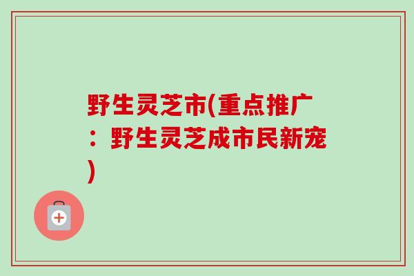 野生灵芝市(重点推广：野生灵芝成市民新宠)