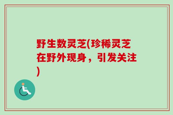 野生数灵芝(珍稀灵芝在野外现身，引发关注)