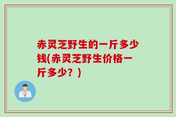 赤灵芝野生的一斤多少钱(赤灵芝野生价格一斤多少？)