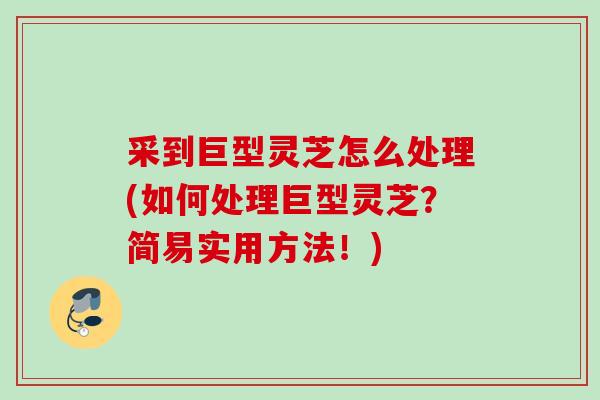 采到巨型灵芝怎么处理(如何处理巨型灵芝？简易实用方法！)