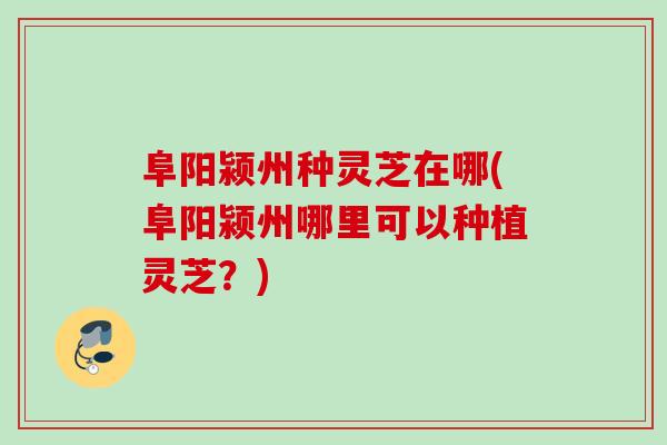 阜阳颍州种灵芝在哪(阜阳颍州哪里可以种植灵芝？)