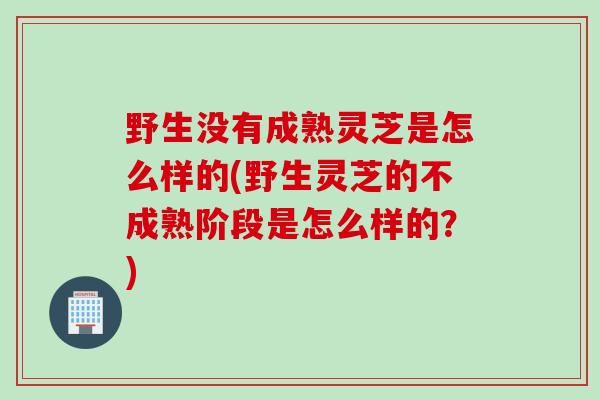 野生没有成熟灵芝是怎么样的(野生灵芝的不成熟阶段是怎么样的？)