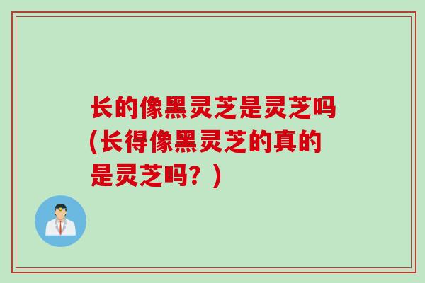 长的像黑灵芝是灵芝吗(长得像黑灵芝的真的是灵芝吗？)