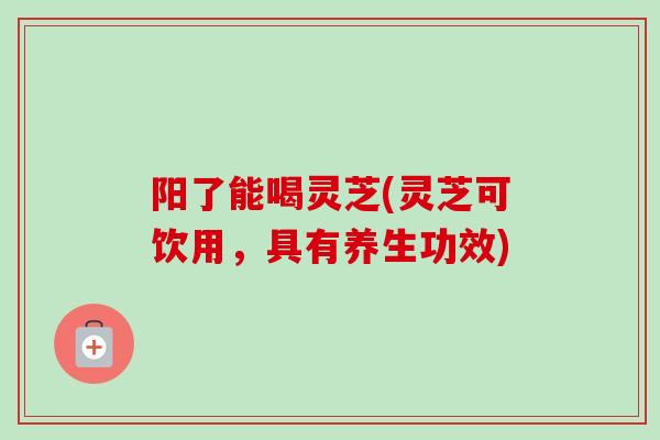 阳了能喝灵芝(灵芝可饮用，具有养生功效)