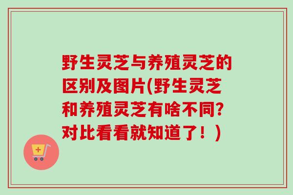 野生灵芝与养殖灵芝的区别及图片(野生灵芝和养殖灵芝有啥不同？对比看看就知道了！)