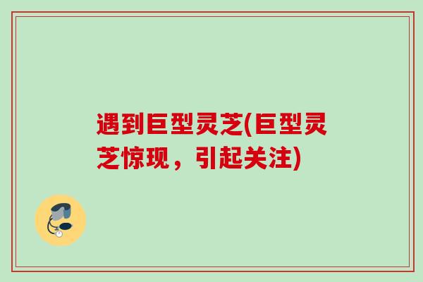 遇到巨型灵芝(巨型灵芝惊现，引起关注)