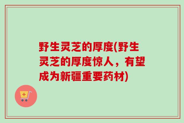 野生灵芝的厚度(野生灵芝的厚度惊人，有望成为新疆重要药材)