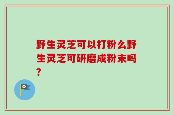 野生灵芝可以打粉么野生灵芝可研磨成粉末吗？