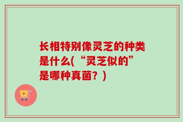 长相特别像灵芝的种类是什么(“灵芝似的”是哪种真菌？)