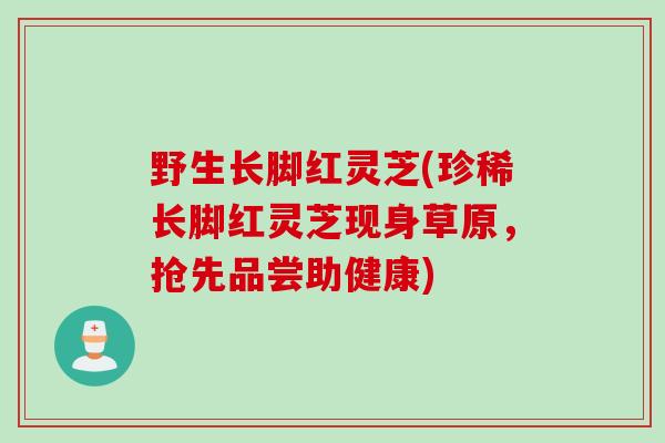 野生长脚红灵芝(珍稀长脚红灵芝现身草原，抢先品尝助健康)