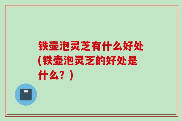 铁壶泡灵芝有什么好处(铁壶泡灵芝的好处是什么?) 铁壶泡灵芝有什么好处(铁壶泡灵芝的好处是什么?)
