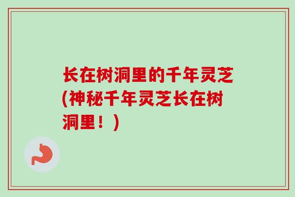 长在树洞里的千年灵芝(神秘千年灵芝长在树洞里！)