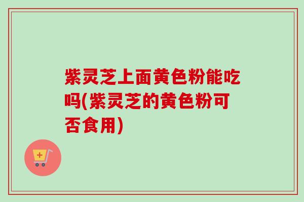 紫灵芝上面黄色粉能吃吗(紫灵芝的黄色粉可否食用)