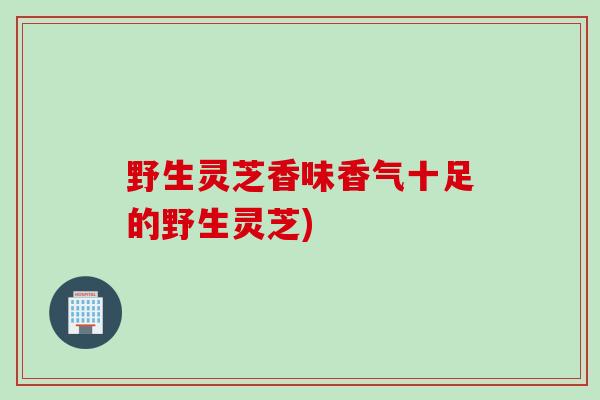 野生灵芝香味香气十足的野生灵芝)