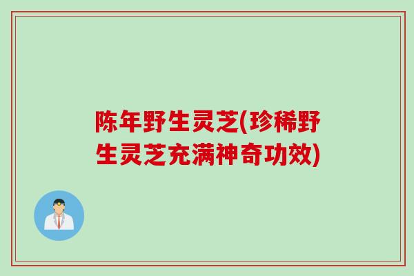 陈年野生灵芝(珍稀野生灵芝充满神奇功效)