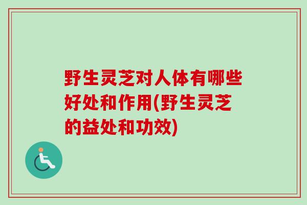 野生灵芝对人体有哪些好处和作用(野生灵芝的益处和功效)