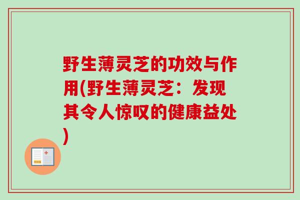 野生薄灵芝的功效与作用(野生薄灵芝:发现其令人惊叹的健康益处) 野生薄灵芝的功效与作用(野生薄灵芝:发现其令人惊叹的健康益处)