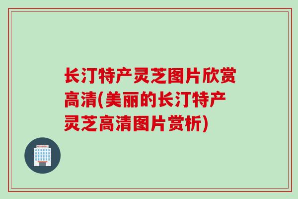 长汀特产灵芝图片欣赏高清(美丽的长汀特产灵芝高清图片赏析)